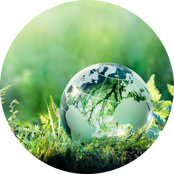 サロンの雰囲気写真